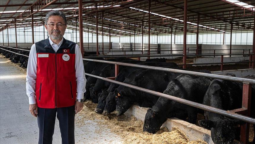 Bakan Yumaklı: Üretim planlamasının meyvelerini almaya başladıkc
