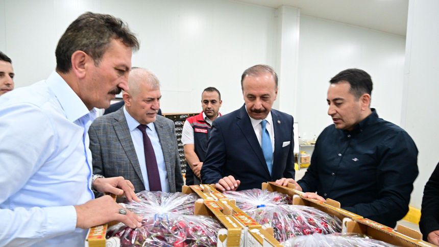 Kiraz ihracatçıları Çin pazarının açılmasını bekliyor
