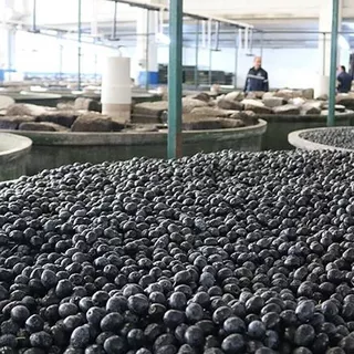 Marmarabirlik'ten üreticiye akaryakıt desteği
