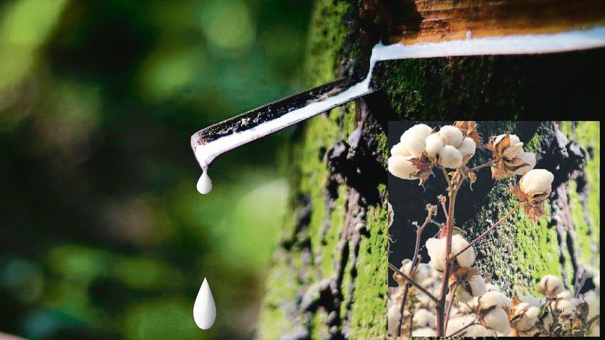 Endüstriyel tarım ürünleri yön arıyor