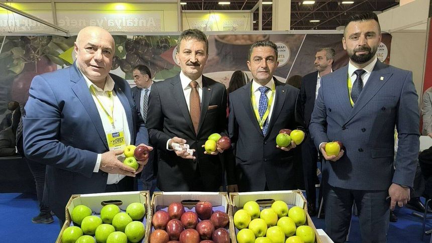 100 bin ton elma soğuk hava deposunda kaldı