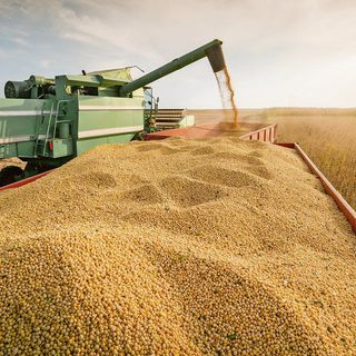 Tarımsal girdi fiyatları ekimde yüzde 2,04 arttı