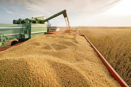 Ekonomide köklü dönüşüm; hizmetler sektörü tarım ve sanayiyi ezip geçiyor!