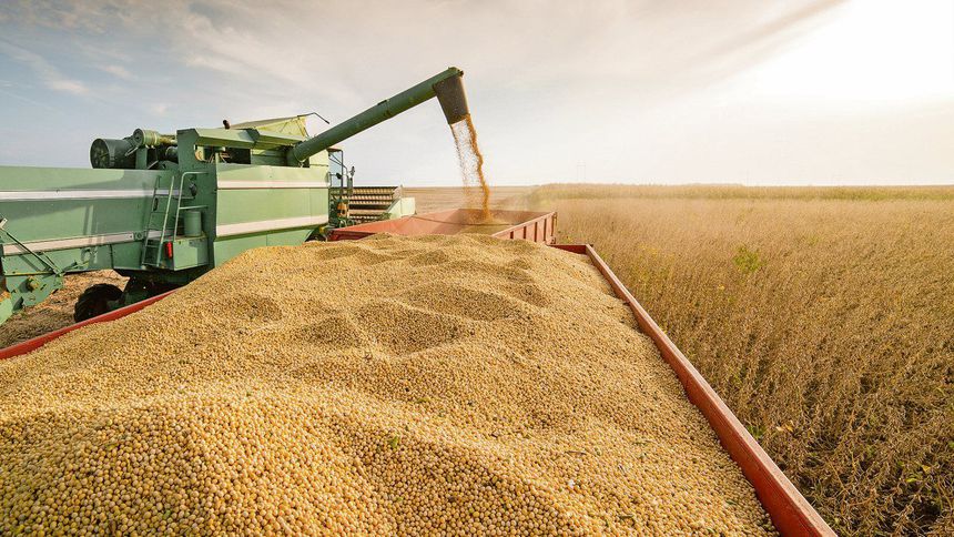Ekonomide köklü dönüşüm; hizmetler sektörü tarım ve sanayiyi ezip geçiyor! Ekonomide köklü dönüşüm; hizmetler sektörü tarım ve sanayiyi ezip geçiyor!