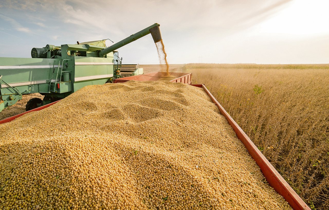 Tarımsal girdi fiyatları ekimde yüzde 2,04 arttı