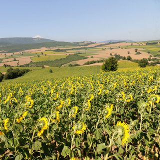 'Yenişehir’e bir gıda ihtisas OSB zorunlu'