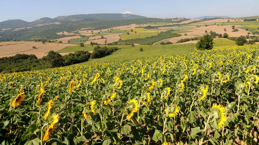 'Yenişehir’e bir gıda ihtisas OSB zorunlu'