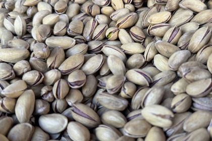 9 ayda 152,6 milyon dolarlık fıstık ihracatı