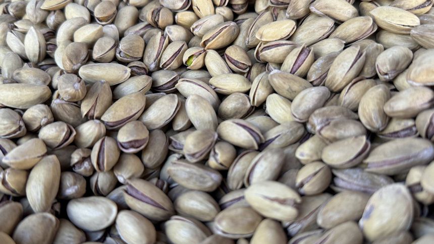 9 ayda 152,6 milyon dolarlık fıstık ihracatı