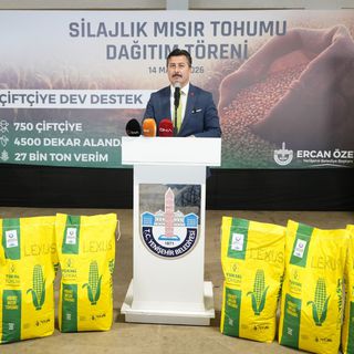750 çiftçiye silajlık mısır tohumu dağıtıldı