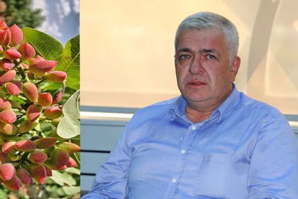 Antep fıstığı üreticisine lisanslı depo ile faizsiz finansman desteği
