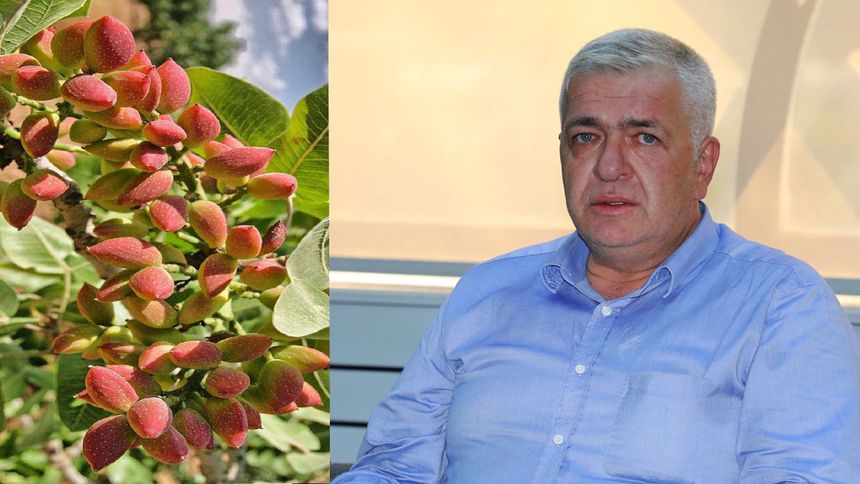 Antep fıstığı üreticisine lisanslı depo ile faizsiz finansman desteği