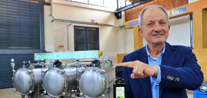 Zeytinyağında yeni teknoloji: Soğuk sıkımda verim kaybı ortadan kalkıyor