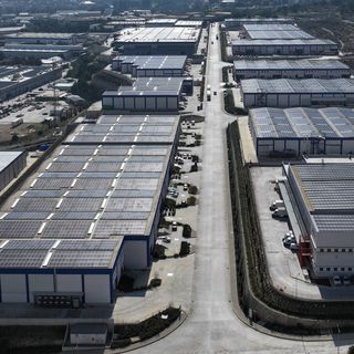 ESBAŞ, çevreci yatırımlarla 2025’te 8 bin ağaç kurtardı