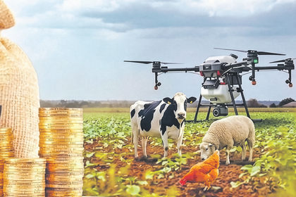 Kırsal kalkınma projelerine 30 milyon liraya kadar hibe desteği