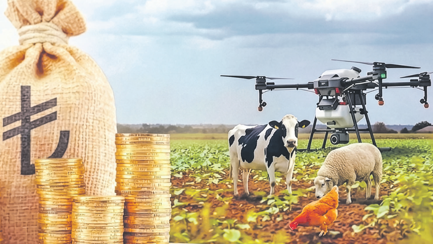 Kırsal kalkınma projelerine 30 milyon liraya kadar hibe desteği