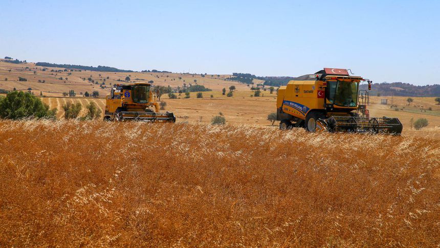 Uşak'ta 3 bin 500 ton çörek otu üretildi