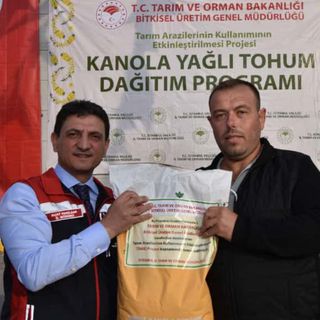 Çiftçilere kanola tohumu dağıtıldı