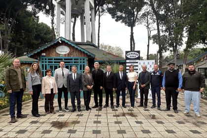 halis