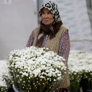 Çiçekçilerin yıl sonu ihracat hedefi 155 milyon dolar