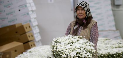 Çiçekçilerin yıl sonu ihracat hedefi 155 milyon dolar