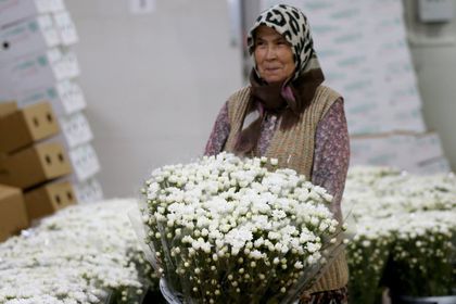 Çiçekçilerin yıl sonu ihracat hedefi 155 milyon dolar