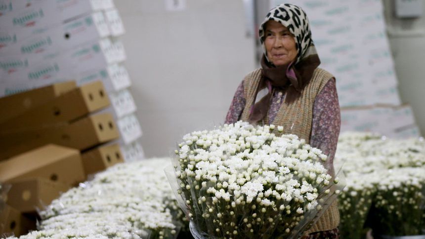 Çiçekçilerin yıl sonu ihracat hedefi 155 milyon dolar