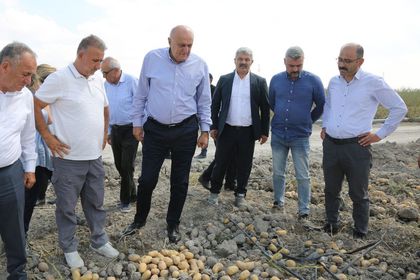 yilnak2