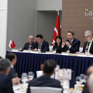 Bakan Bayraktar: Her yıl 8-9 bin megavat yeni santral yapmamız lazım