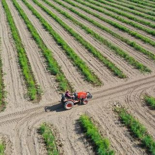 Kooperatiflerde sayı var güç yok!