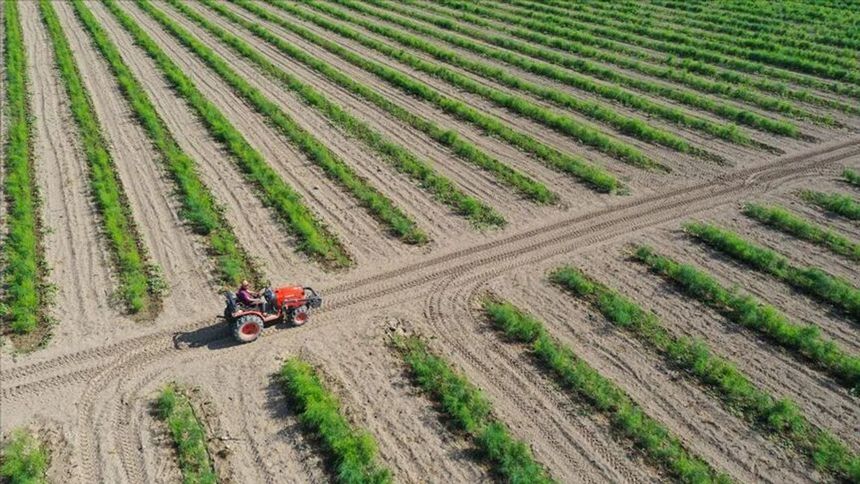 Kooperatiflerde sayı var güç yok!