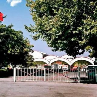 Tat Gıda'dan ilk yarıda 93,4 milyon liralık esas faaliyet kârı
