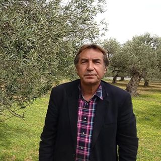İş insanlarından Erdoğan’a zeytin yasası için çağrı: Köylüler yerinden edilecek