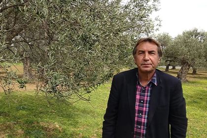 İş insanlarından Erdoğan’a zeytin yasası için çağrı: Köylüler yerinden edilecek