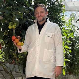 Topraksız sera yatırımı 2.5 milyar dolara ulaştı