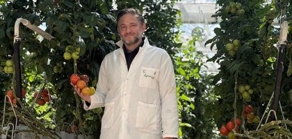 Topraksız sera yatırımı 2.5 milyar dolara ulaştı