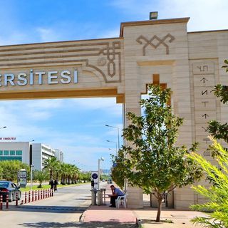 TÜSEB’den sağlık projelerine destek