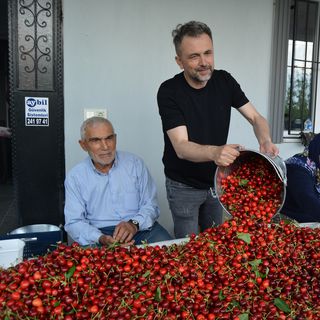 Kiraz hasat ve ihraç sezonu sorunlarla başladı