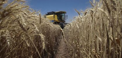 Tarım üretici fiyatları 2025'te yüzde 36 arttı