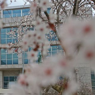 Üsküdar Üniversitesi, THE 2025 Etki Sıralaması'nda ilk 500’e girdi