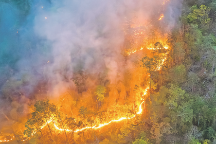 Hiçbir ülke güvende değil