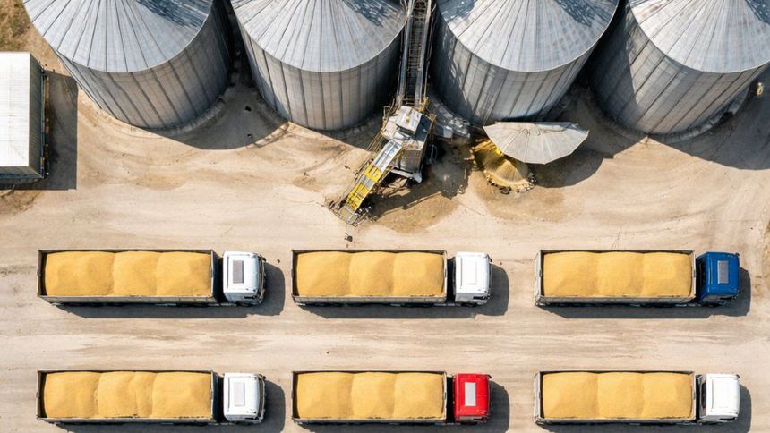 TÜRİB, TMO'nun buğdayını günlük satacak