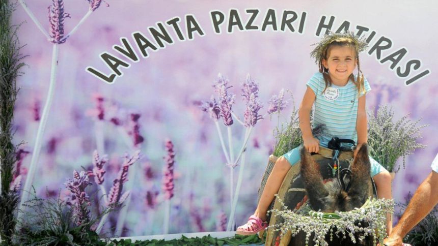 Lavanta Hasat Şenliği için geri sayım başladı