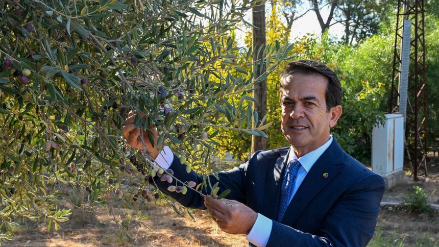 'Antalya Natürel Sızma Zeytinyağı Kalite Yarışması'na başvurular sona eriyor