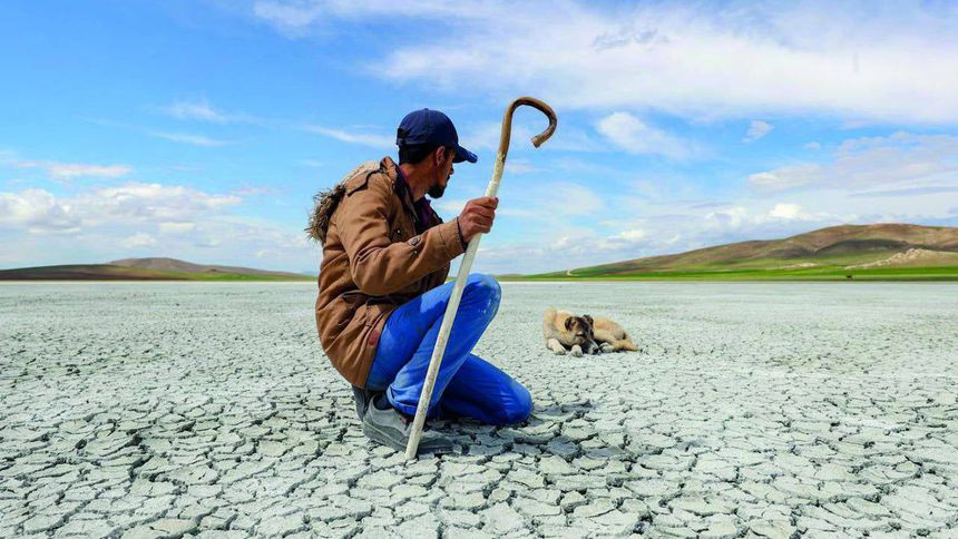 '2053 Net Sıfır' hedefi, TCMB’nin enflasyon hedeflerine benzemesin