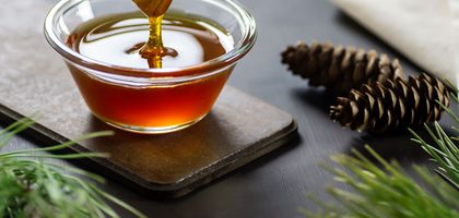 Çam balı için Ar-Ge projesi başlatıldı