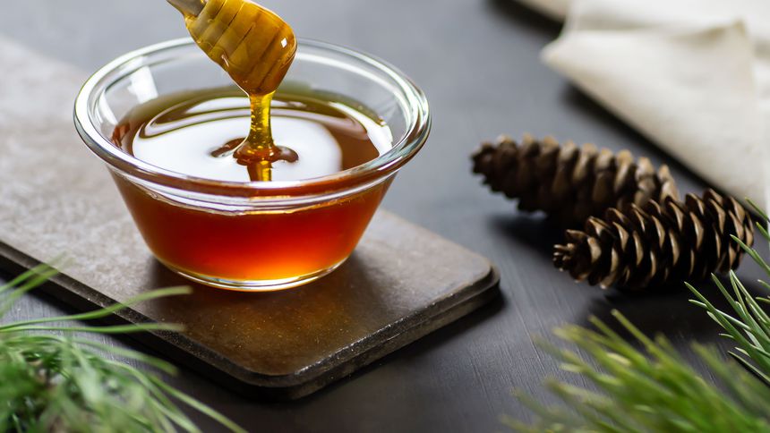 Çam balı için Ar-Ge projesi başlatıldı