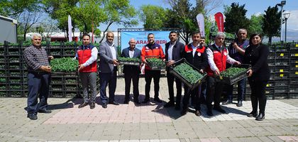 Üreticiye 650 bin biber fidesi hibe edildi