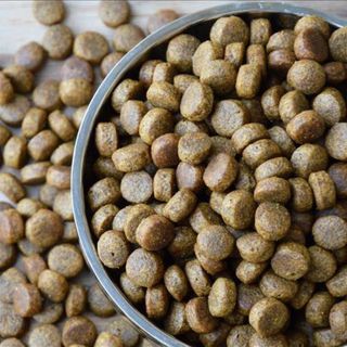 Petfood üretim ve ihracatının yüzde 70’ini Salihli sırtlıyor, üretici KDV indirimi ve ithalata sınırlama istiyor