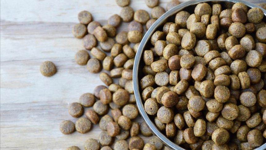 Petfood üretim ve ihracatının yüzde 70’ini Salihli sırtlıyor, üretici KDV indirimi ve ithalata sınırlama istiyor